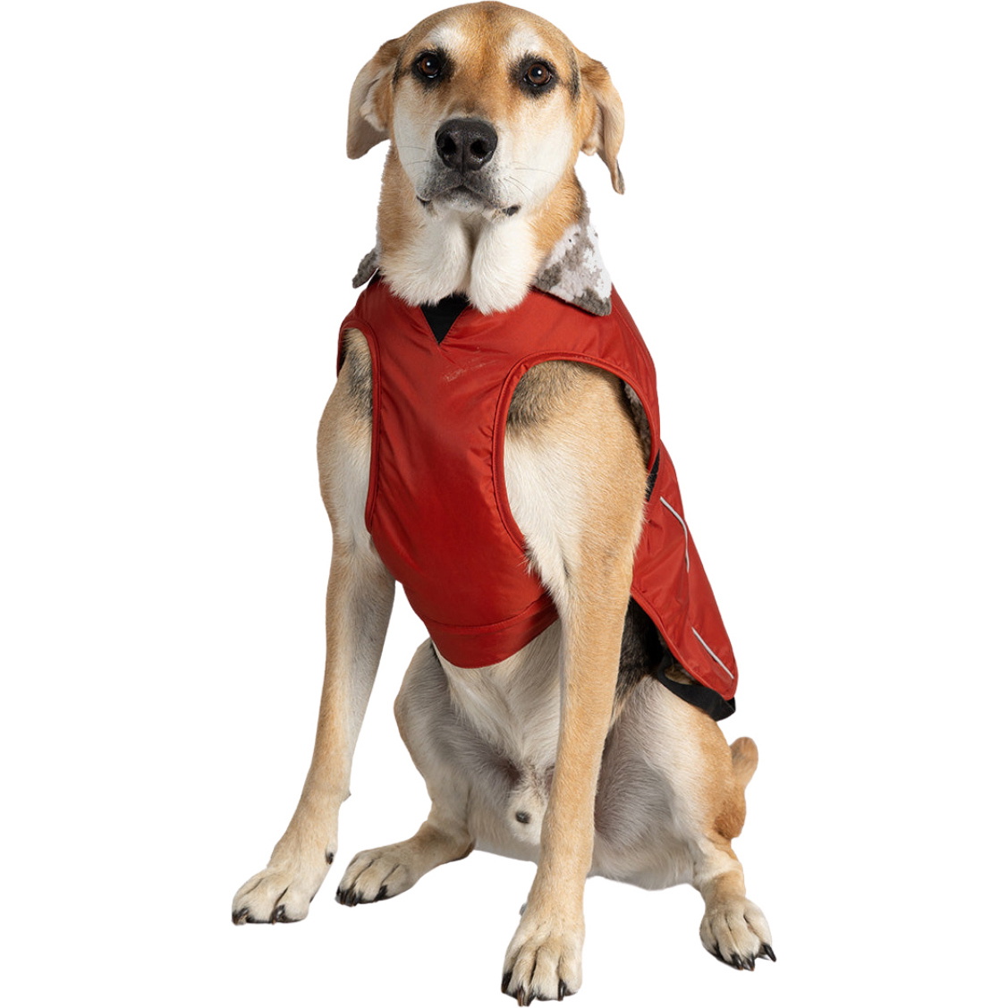 2026 Dryrobe Dog Coat V3DRDC - Burnt Orange